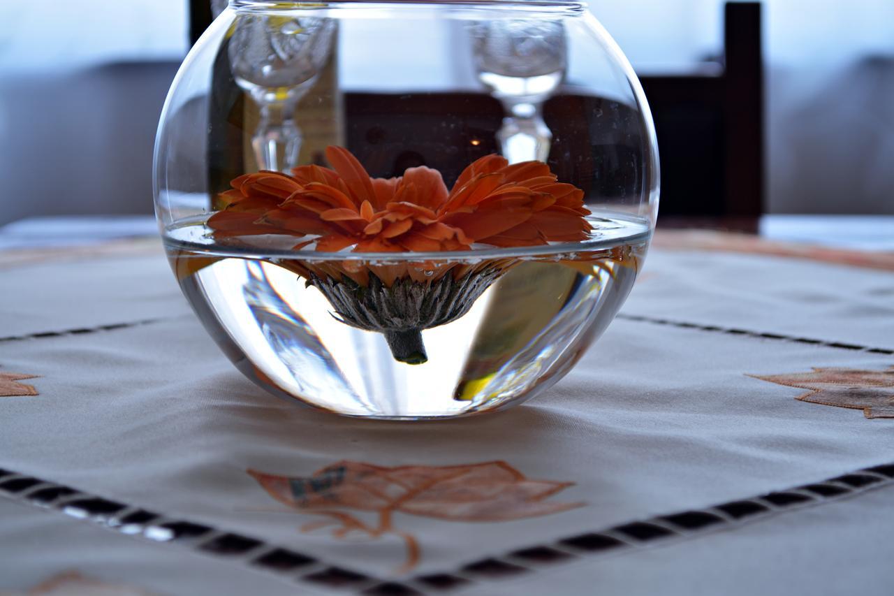 Apartment Lotika Višegrad エクステリア 写真